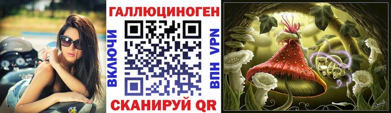 Галлюциногенные грибы MAGIC MUSHROOMS  купить наркотик  Чекалин 